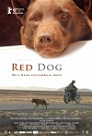 Movie review of Red Dog (2011) by The Critical Movie Critics