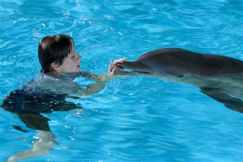 Dolphin Tale (2011) by The Critical Movie Critics