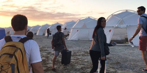 Movie Review:  Fyre (2019)
