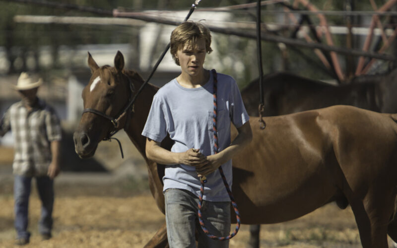 Lean on Pete (2017) by The Critical Movie Critics