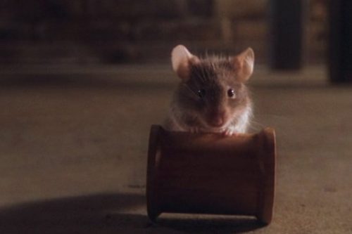 Mr. Jingles – Top 10 Movie Rodents