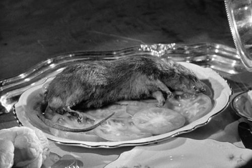 Platter Rat – Top 10 Movie Rodents