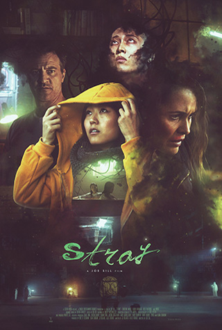 Stray (2019) by The Critical Movie Critics