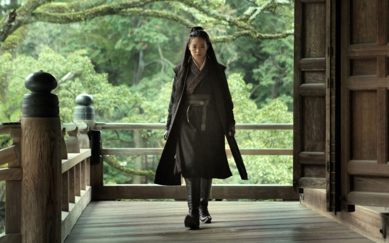 The Assassin (2015) by The Critical Movie Critics