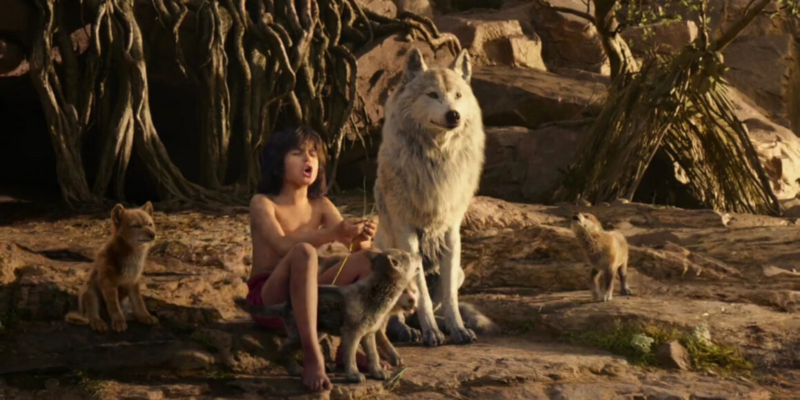 the jungle book wolf law