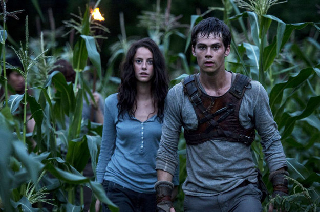 Film Review: The Maze Runner (2014) – Wildfire Movies