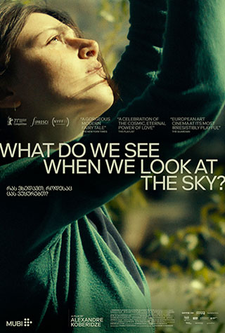 What Do We See When We Look at the Sky? (2021) by The Critical Movie Critics