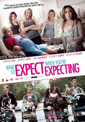 What to Expect When You're Expecting (2012) by The Critical Movie Critics