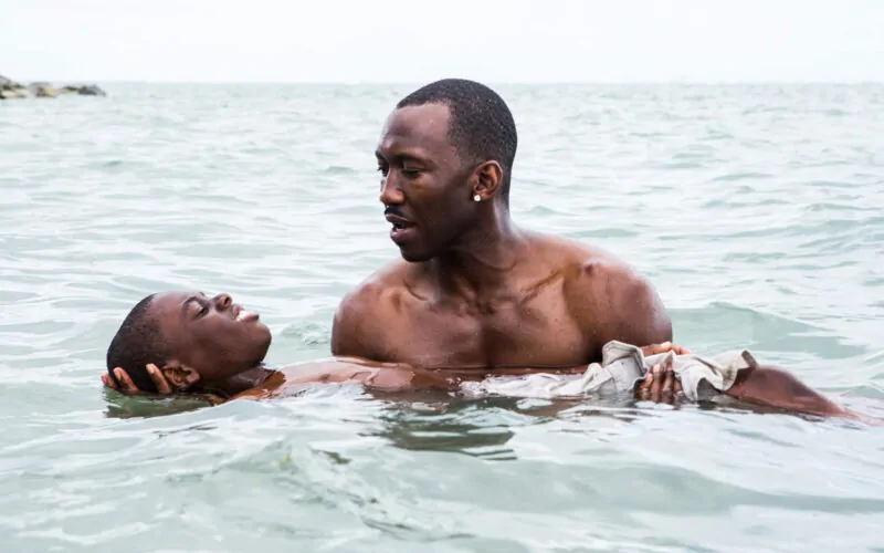 Moonlight (2016) by The Critical Movie Critics